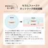 マキアージュベースメイクセット エッセンスベース EX ピュアアイボリー30g+ファンデーションサンプルつき SPF50+・PA++++ ｜ 化粧下地 美容液 ｜ クリーム状