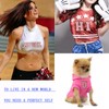 6 parches de felpilla rosa, letras bordadas, parches con purpurina,