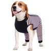 Kuoser Dog Recovery Suit for Back Legs, Soft Dog Surgery