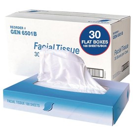 GEN Facial Tissue, 2-Ply, White, Flat Box, 100 Sheets/Box, 30 Boxes/Carton