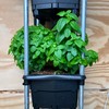 Hooch Multi Bucket Hydroponic System