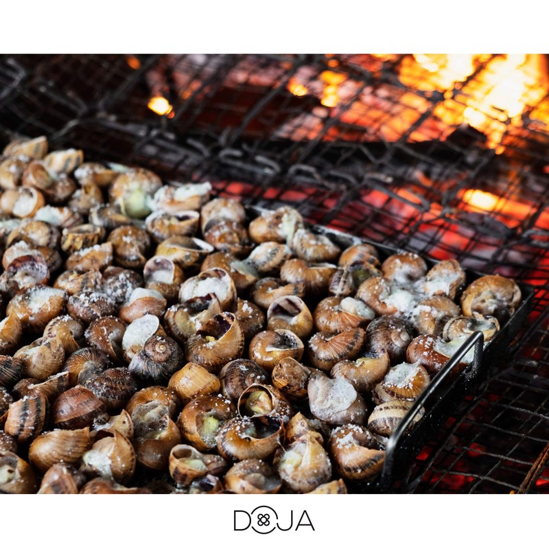 DOJA Barcelona | ENAMELED Iron Can for Snails or Square