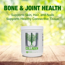 Universal Nutrition Collagen Powder (300g) – Highly Hydrolyzed Collagen for Bone & Joint Health, Skin, Hair & Nails, Digestion & Muscle Recovery
