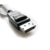 DisplayPort to single Link