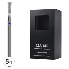 BESSIE Riabit Sandlong XF nail bits, 5 pieces, silver / BESSIE 리아비트 샌드롱 XF 네일비트, 5개, 실버