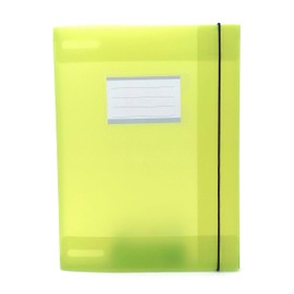 Alevar 3 Flap Folder with Elastic and Transparent Window with Inserted Label, Translucent Plastic, Size 32x24 cm Spine 1.8 cm, Color Green