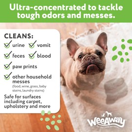 Wee Away X2 Ultra Concentrated Pet Stain and Odor Remover, Enzyme Cleaner for Dog Urine and Poop Carpet & Furniture Safe, Pet Urine Odor Eliminator Spray (Green Tea 16 oz)