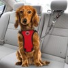 SlowTon Dog Seat Belt for Car, 2 Pack Dog Car