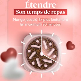 Anti-Glouton Dog Bowl | Slow and Healthy Eating, Promotes Animal Digestion, Anti-Vomiting, Design with Non-Slip Feet, for Pets (Large, Pink)