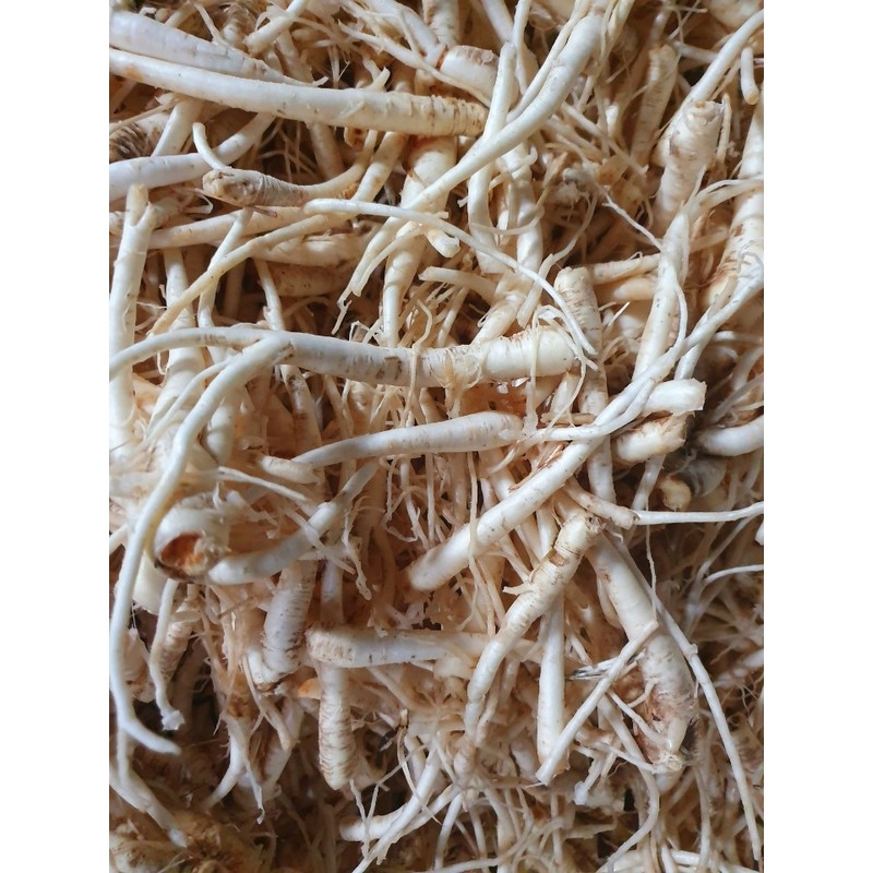 Dried Bellflower Gilgyeong Special 200g Yeongju, Gyeongbuk / 건도라지 길경