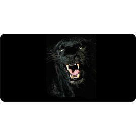 Black Jaguar Photo License Plate