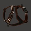 DOG Copenhagen Comfort Walk Air 3.0 Harness, Desert Dune, M