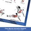 Dumbbell Workout Poster Set (2 Pack) - Workout Posters for