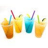 Loaded Tea Beverage Single Pack Sampler Mix Multi Flavor Packs