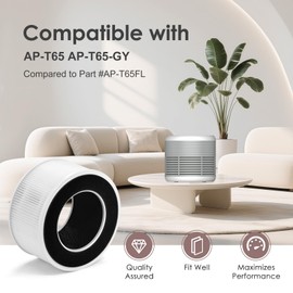 HSIAMEN AP-T65FL Replacement Filter Compatible with HoMedics Air Purifier AP-T65 AP-T65-GY, 3-in-1 H13 True HEPA Activated Carbon, 1-Pack