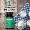 Enzimas Digestivas Probióticos Contiene Lactobacillus Acidophilus Proteasa Lactasa Lipasa Bromelina
