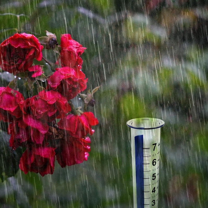 ZHJISHGUO 1 Pcs 7-Inch Capacity Plastic Rain Gauge Tube, Outdoor