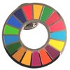 SDGs United Nations Headquarters Pin Badge, Limited Release