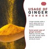 Spicy World Ginger Powder 5 LB Jar – Gluten Free,