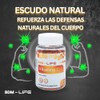 BDM LAB Vitamina C Suplemento Alimenticio 3x2 60 cápsulas c/u