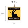 [SunAge] Rabbit in House Pictogram Funny Keychain Key Ring Acrylic