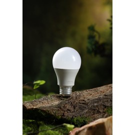 Kalmia Home LED Light Bulbs 6-12W [60-120 Watt Equivalent] 5000K Daylight White, 450-1080 Lumens, 20000 Hours Lifetime, Non-Dimmable, A19 - E26 Medium Screw Base (10, 6 Watt)