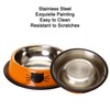 FANWINKJ 2 Pieces Stainless Steel Cat Bowl Set, Non-Slip Feeding