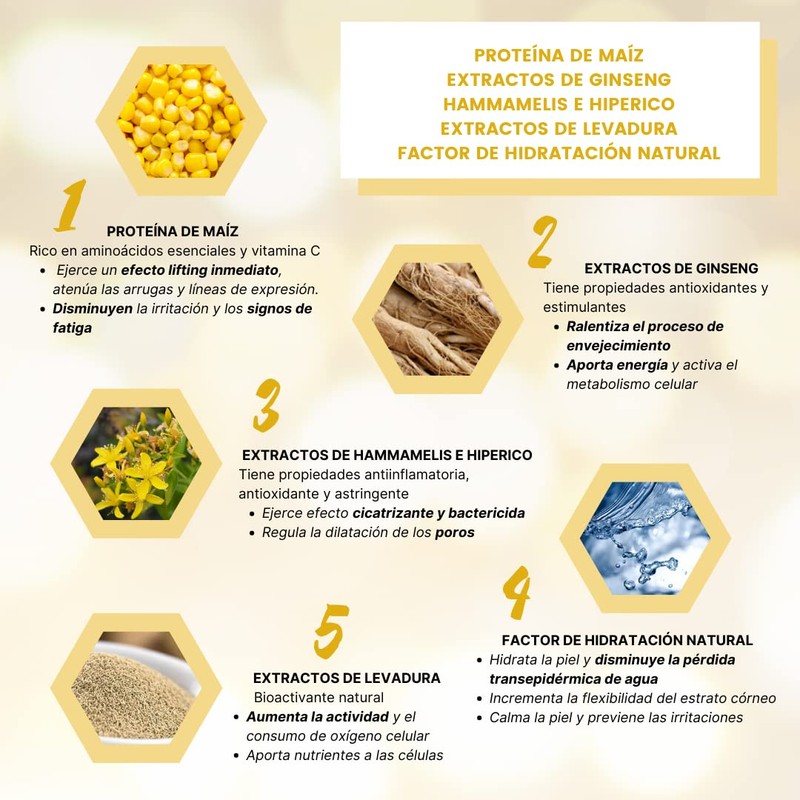 Germinal Accion Inm Flas Cofre 5 Amp