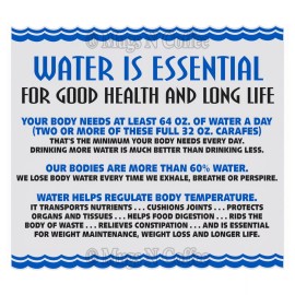 Whirley Drink Works (3) 32 oz. Water Essential Insulated Mugs with Straws & Purple Lids | BPA FREE