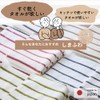 Tsubame Towel, Established in 1882, Traditional Towel Maker, Senshu, Made