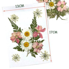 DFsucces DFsucces 4 Packs About 60 Pcs,Pressed Dried Flowers,Real Dried Pressed Flowers,Pressed Flowers for Resin,Mixed Multiple Natural Flowers Leaves,for Crafts Making Floral Decors Scrapbooking DIY