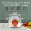 Jjojcll 2.3L(75oz) Glass Cooking Pot with Lid,Handmade Borosilicate Glass Stockpot
