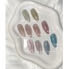 Chilling Magnet Gel One Color Handmade Nail Tips - Long