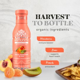 Joy-D Whole Plant Prebiotic and Antioxidant Drink with Peach, Mandarin, Kiwi and Orange, Organic, Non-GMO, Gluten and BPA Free, Fruit Juice Cleanse with Vitamin D and C, 6 bottles, 12 fl oz - Karuna