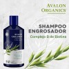 Avalon Organics Shampoo con complejo B de Biotina, 14 fl