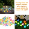 Cidinge 60 Pcs Mini Resin Ducks Luminous Tiny Ducks Miniature