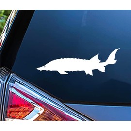 Sticky Bomb Sturgeon Fish Fishing Vinyl Decal Vinyl Decal Sticker Premium Quality Vinyl White for Car Bumper Truck Van SUV Window Wall Boat Cup Tumblers Laptop or Any Smooth Surface Size 7x3 Inches