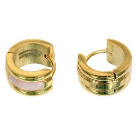 1 Pair of Earrings Shell Inlay Surgical Steel Hoop Earrings in Gold for Normal Pierced Ears, Alloy Steel
