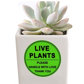 Live Plants/Handle with Love Stickers - 2 Inch Green Fragile Handling Shipping Warehouse Pallet Stickers 250 Adhesive Labels (Green) (2 inch)