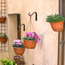BEVIEVER Cast Iron Wall Plants Hanging Basket Brackets, 4 Inch Plant Hooks for Hanging Plants Lantern Bird Feeder Hanger Bracket Outside, 4 Pack