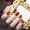 Juego de esmaltes de uñas en gel, marrón, translúcido, transparente