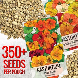Seed Needs Nasturtium Seeds for Planting Edible Flowers | Bulk Collection Set of Jewel Blend & Double Gleam Nasturtiums | Colorful Blooms Attract Pollinators | Trailing and Bush Varieties