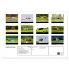 Modellhubschrauber (Wandkalender 2026 DIN A2 quer), CALVENDO Monatskalender