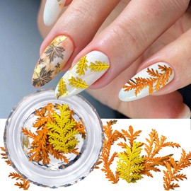 Real Dried Flowers Nail Decals Mini Fall Leaf Dry Flowers Nail Art Stickers Natural Autumn Leaves Dried Flower Nail Stickers Dry Floral Nail Decoration for Women Girls 1 Box Yellow Dry Flower Leaf