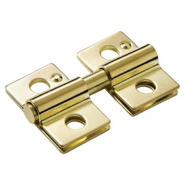 Rear Mounted Swivel Mirror Hinge