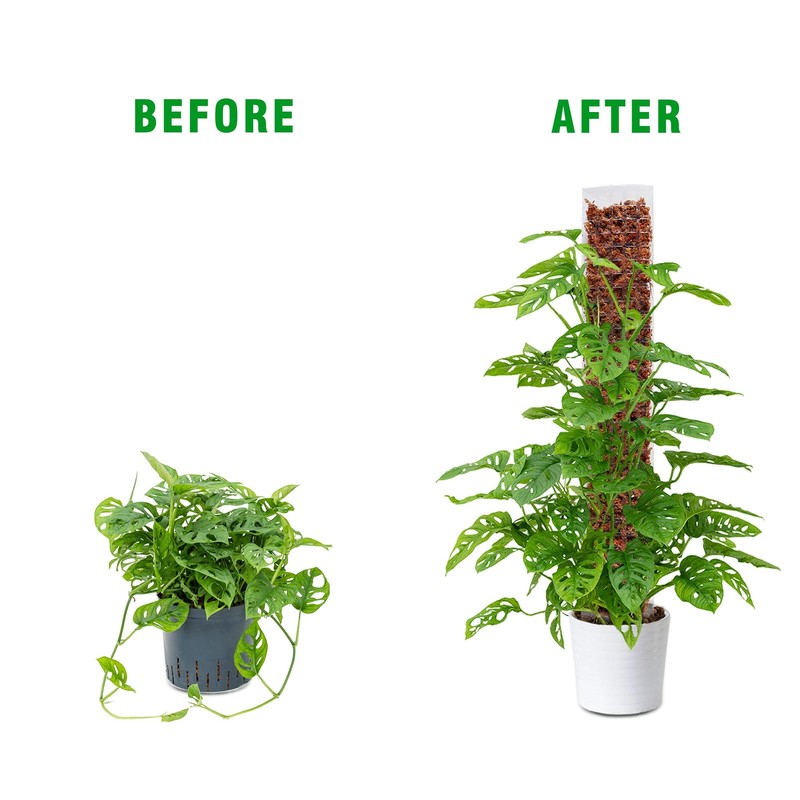 Bonviee 2 Pcs 24 Inch + 2 Pcs 36 Tall