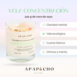 Fuwu, velas aromaticas relajantes de cera de soya con cuarzos naturales, velas decorativas hechas a mano con hierbas de olor, aromatizantes para hogar, velas aromaticas (Cítricos con menta)