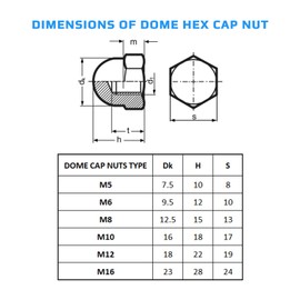 M6 Dome Hex Cap Nuts Stainless Steel (Pack of 10) Hexagon Acorn Decorative for Screws/Bolts - Domed Round Head Protection Cover Cap Nut Accorting to Standard DIN 1587 Silver Tone (6 mm)