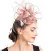AiduduPet 50S Fascinator Hat for Women,Kentucky Derby Fascinators Funeral Veil
