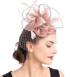 AiduduPet 50S Fascinator Hat for Women,Kentucky Derby Fascinators Funeral Veil Hat Cocktail Tea Party Hat,Bowknot Fascinator Hat Feathers Veil Mesh Headband Pink